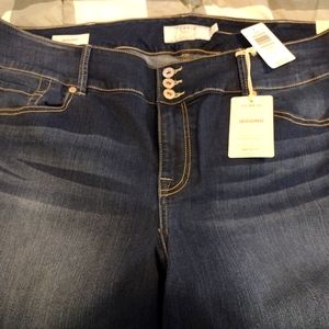 Plus Size Torrid jeggings